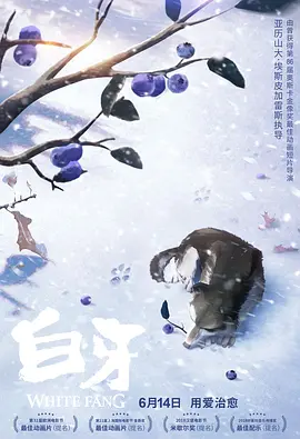 日韩免费专区